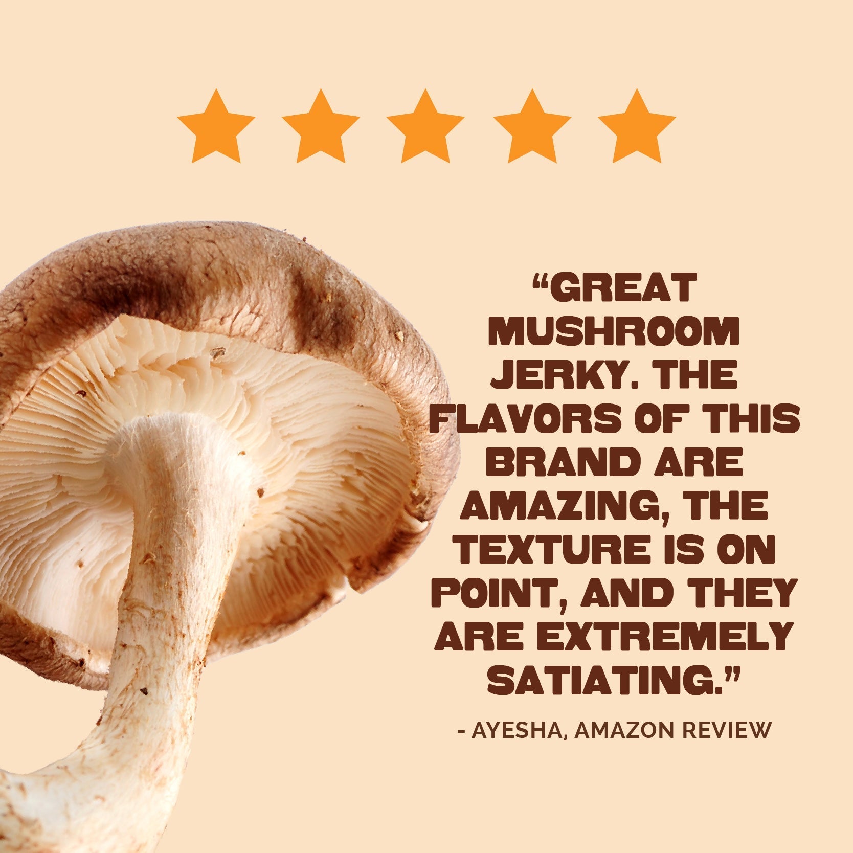 Pan's Mushroom Jerky Single Serve Sampler Pack