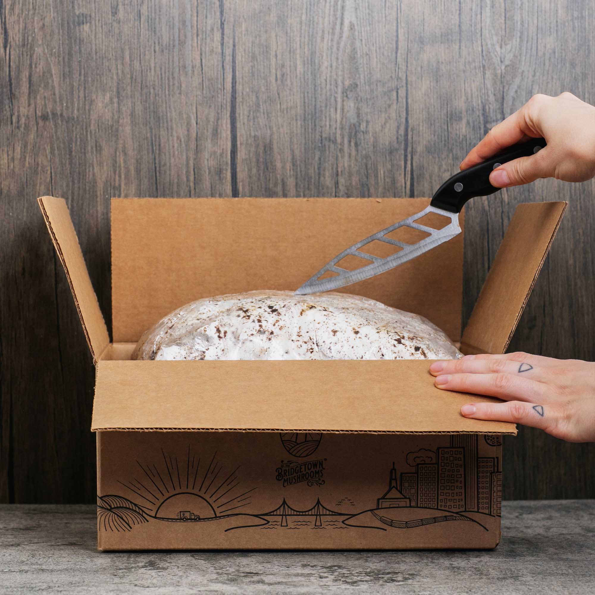 Mushroom Grow Kits - by Bridgetown Mushrooms